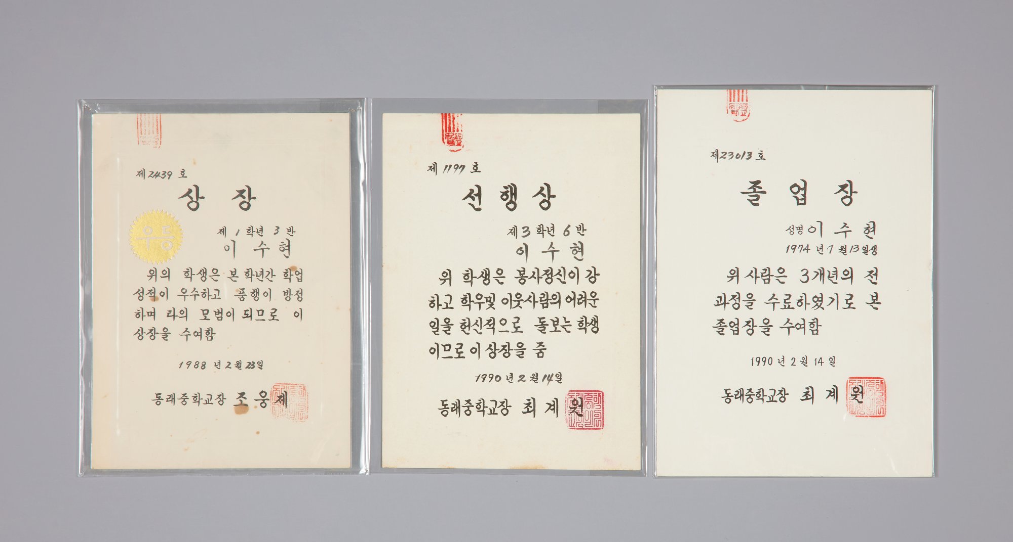 상장류 - 중등